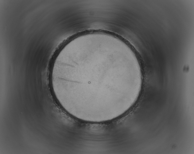 X0000091720832200708241347
