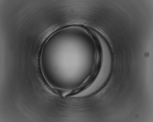 X0000091720834200708241347