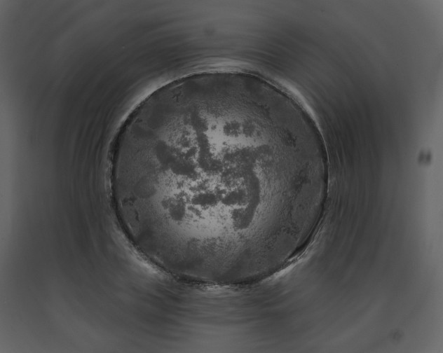 X0000091720835200708241347