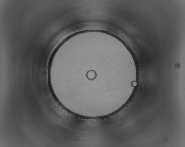 X0000091720836200708241347