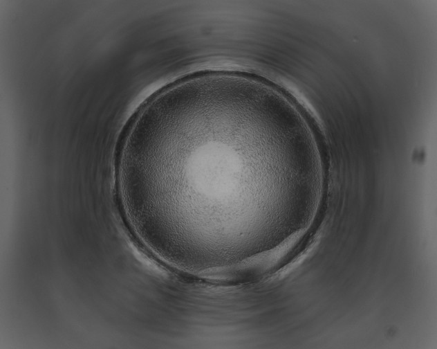 X0000091720837200708241347