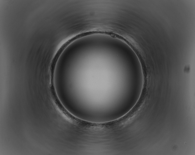 X0000091720838200708241347