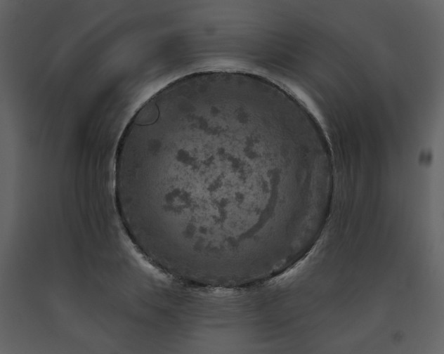 X0000091720839200708241347