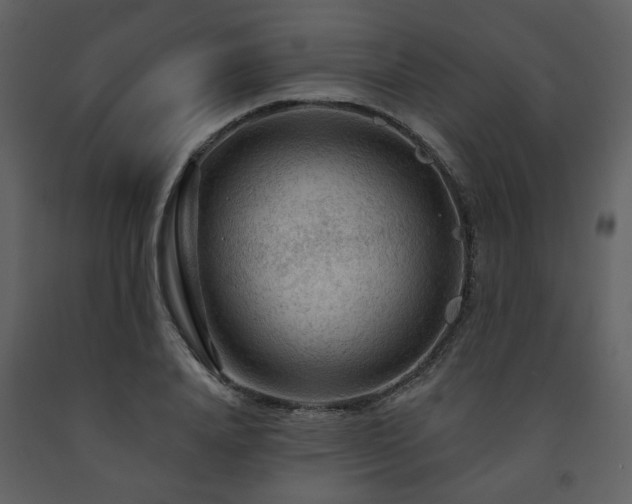 X0000091720840200708241347