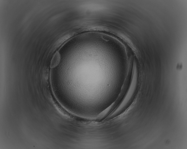 X0000091720841200708241347