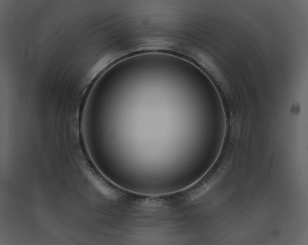 X0000091720842200708241347