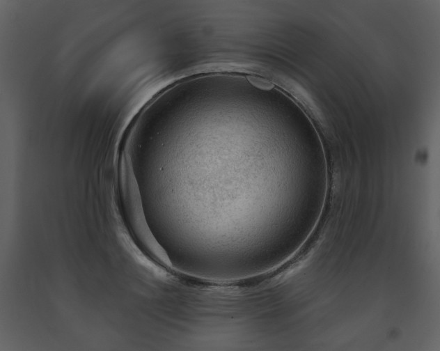 X0000091720844200708241347