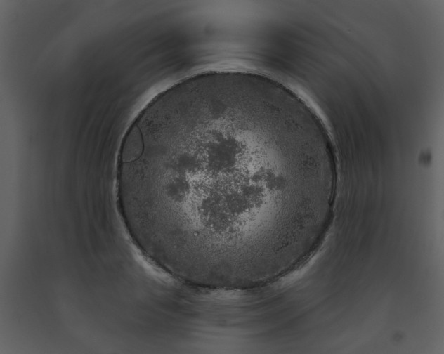 X0000091720845200708241347