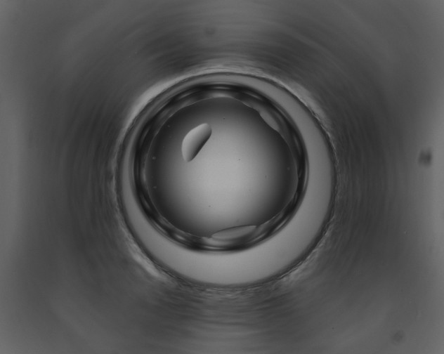 X0000091720846200708241347