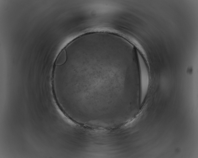 X0000091720847200708241347