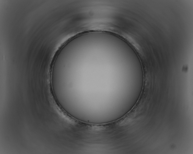 X0000091720848200708241347
