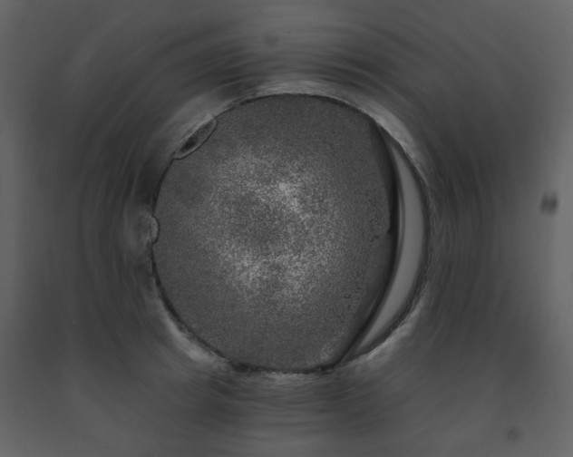 X0000091720849200708241347