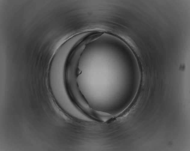 X0000091720850200708241347