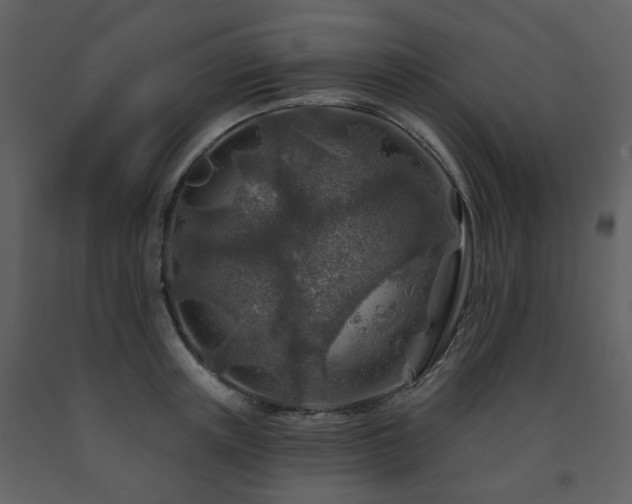 X0000091720851200708241347