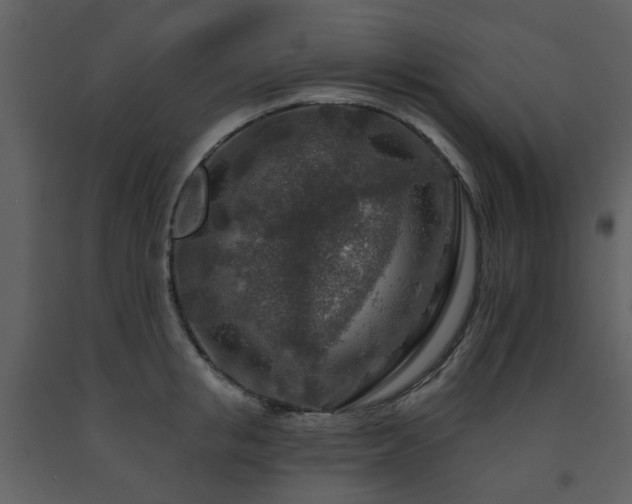 X0000091720853200708241347
