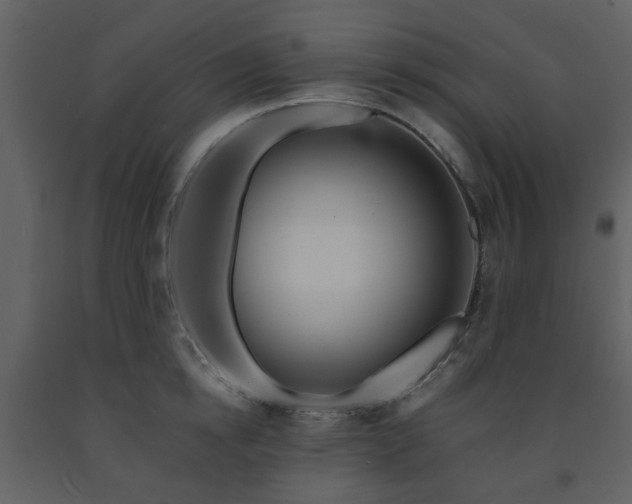 X0000091720854200708241347