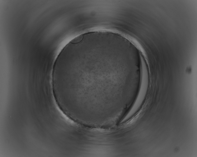 X0000091720855200708241347