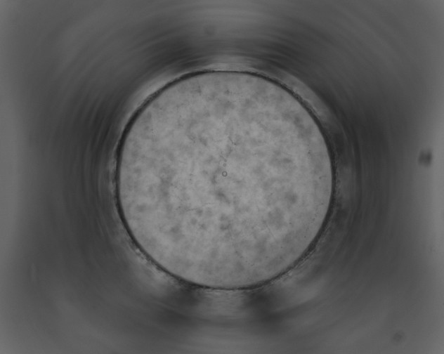 X0000091720856200708241347