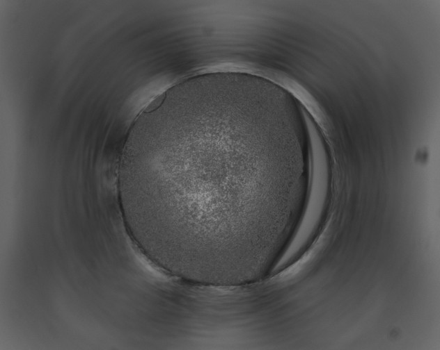 X0000091720857200708241347