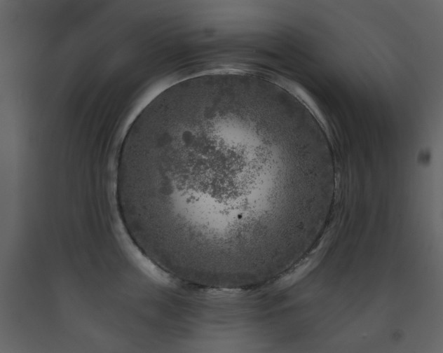 X0000091720859200708241347