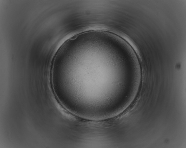 X0000091720861200708241347