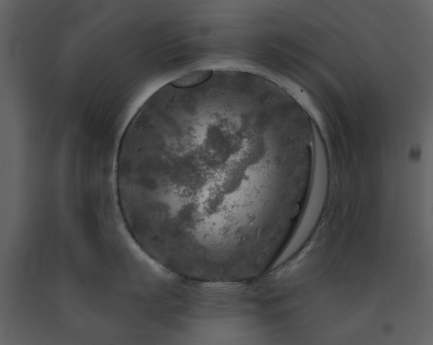 X0000091720863200708241347