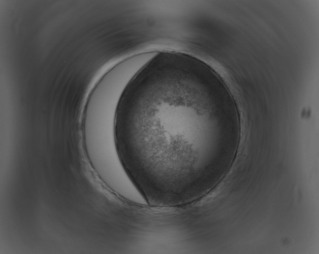 X0000091720864200708241347