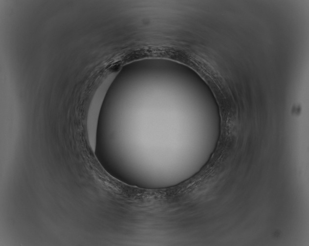 X0000091720865200708241347