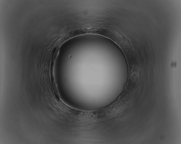 X0000091720866200708241347