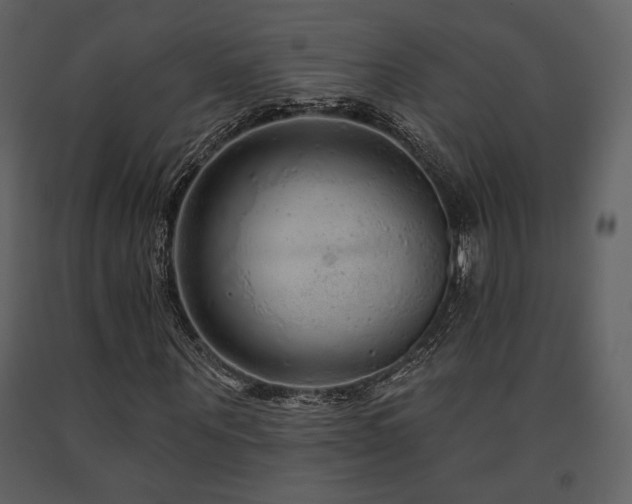 X0000091720867200708241347