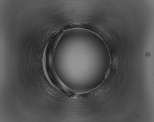 X0000091720868200708241347