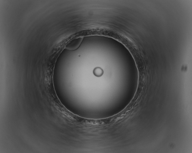 X0000091720869200708241347