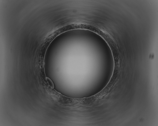 X0000091720870200708241347
