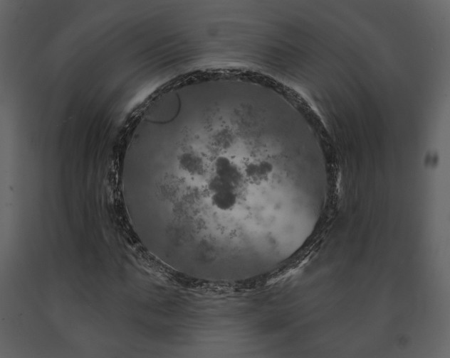 X0000091720871200708241347