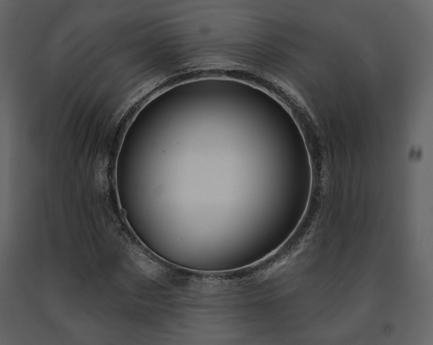 X0000091720873200708241347