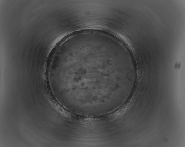 X0000091720875200708241347