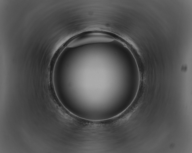 X0000091720877200708241347