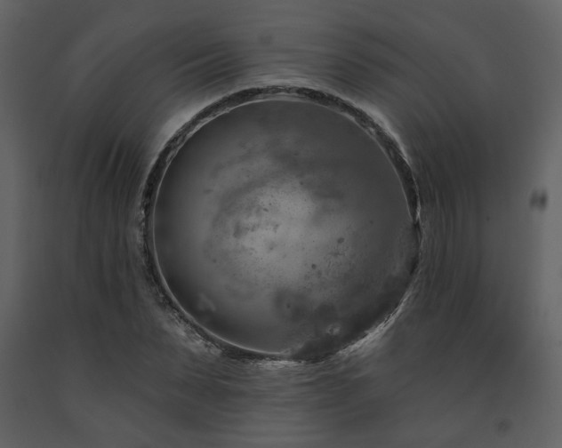 X0000091720879200708241347