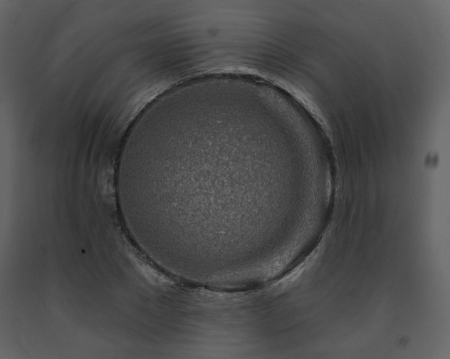 X0000091720881200708241347