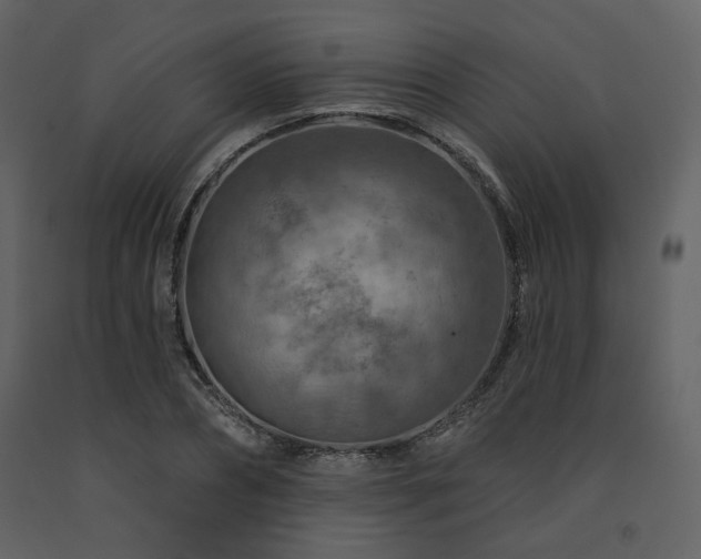 X0000091720882200708241347