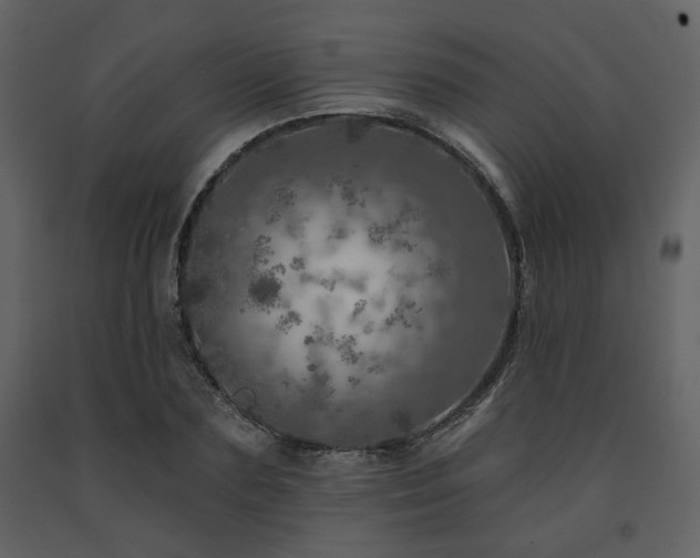 X0000091720883200708241347