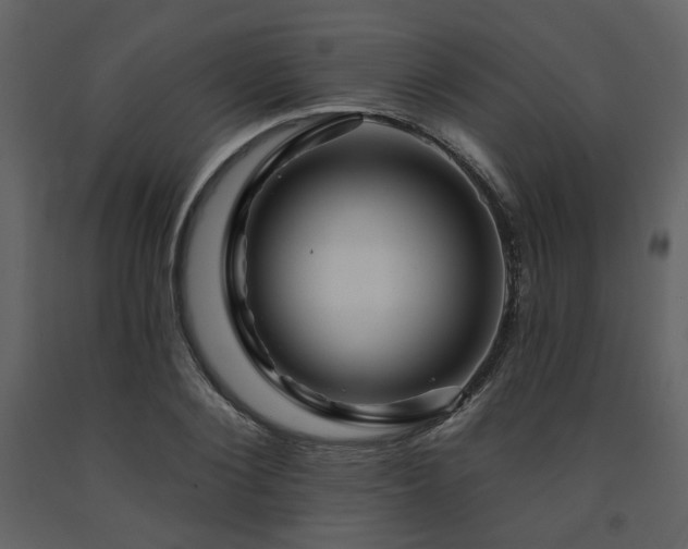 X0000091720884200708241347
