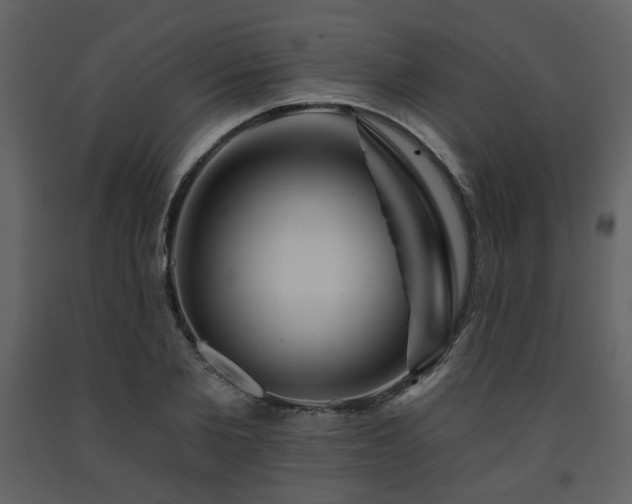 X0000091720885200708241347