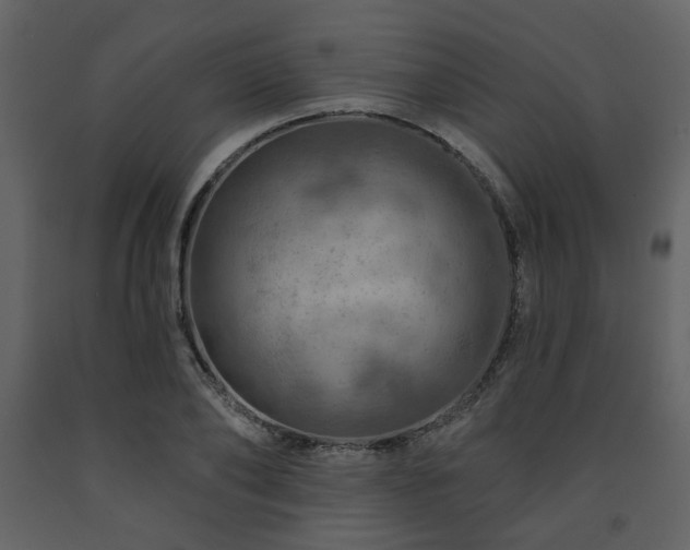 X0000091720886200708241347