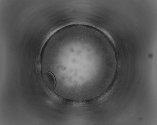X0000091720887200708241347