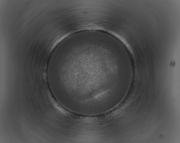 X0000091720889200708241346