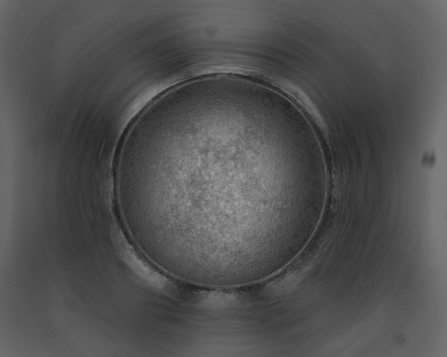 X0000091720890200708241346