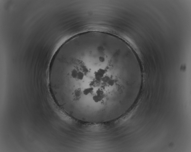 X0000091720891200708241346