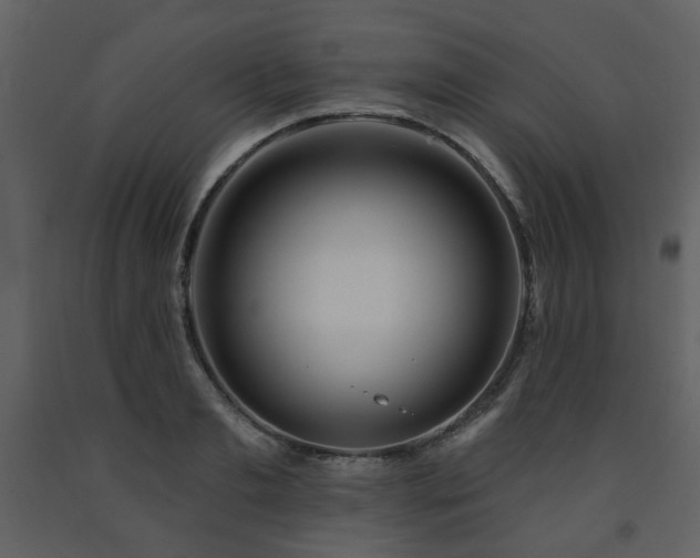 X0000091720893200708241346