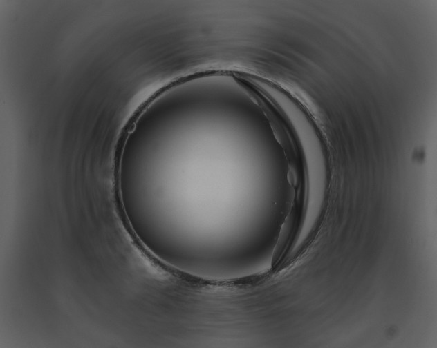 X0000091720894200708241346